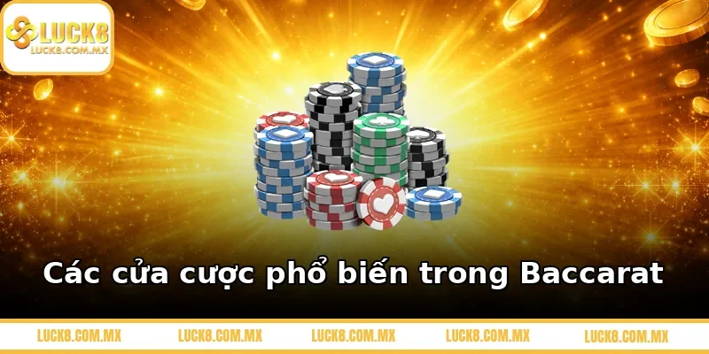 Các cửa cược phổ biến trong Baccarat