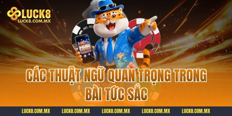 Các thuật ngữ quan trọng trong bài tức sắc